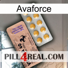 Avaforce 41